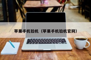 苹果手机验机（苹果手机验机官网）